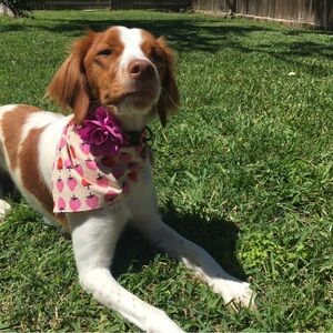 Meet your Posher, Viviana